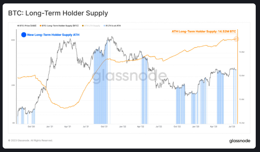 Bitcoin's Bull Cycle Remains Strong as Long-Term Holders Demonstrate Low Selling Pressure