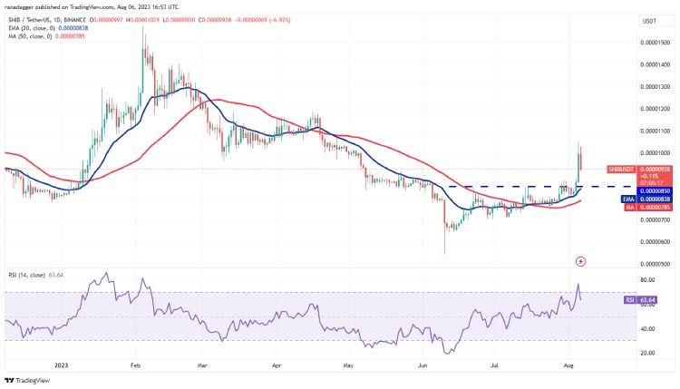 Shiba Inu Price Analysis