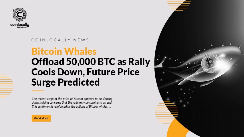 Bitcoin Whales Offload 50,000 BTC as Rally Cools Down, Future Price Surge Predicted