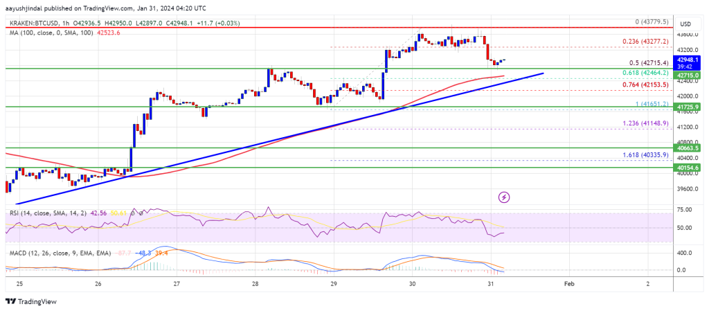 Bitcoin Bulls Push Price Towards $44,500, New Highs in Sight 