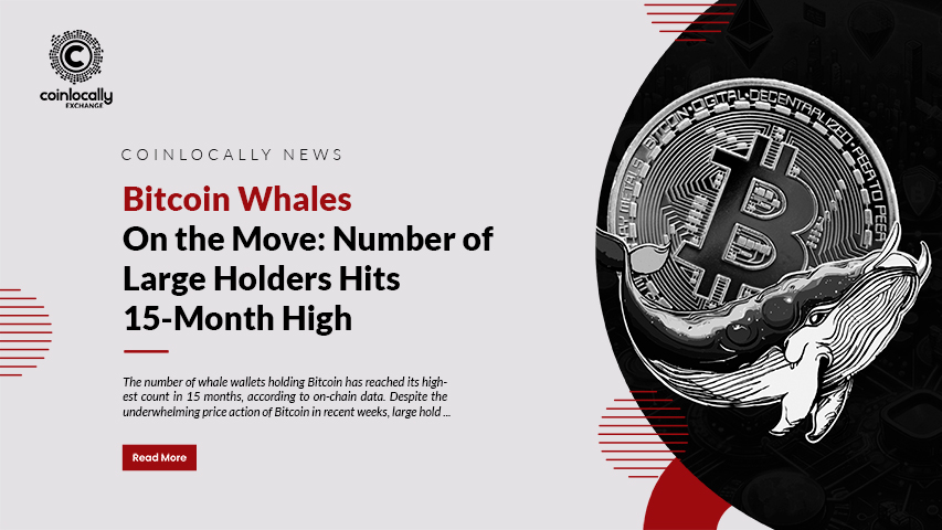 Bitcoin Whales on the Move: Number of Large Holders Hits 15-Month High