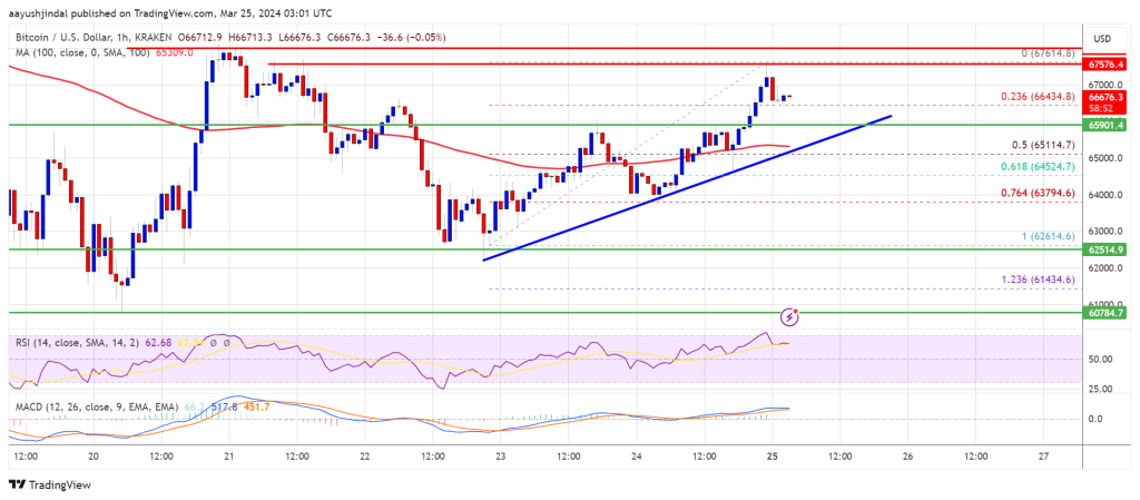 Bitcoin Price Poised for Upside Breakout as Bulls Eye $68,000 Resistance