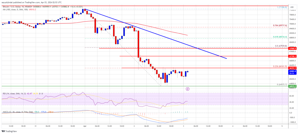 Bitcoin Price Faces Resistance at $67,000 as Consolidation Continues, Potential for More Losses Looms