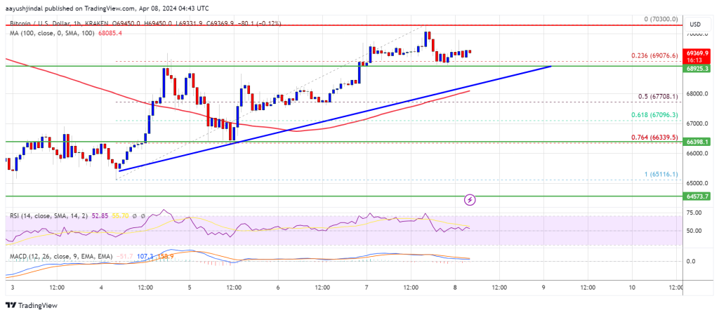 Bitcoin Price Indicates Potential Correction as Bulls Face $70,000 Resistance