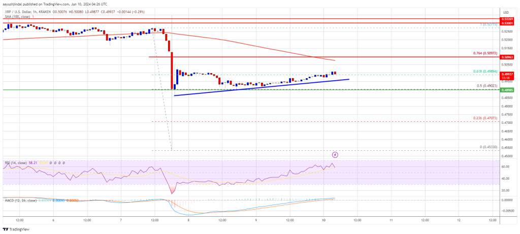 XRP Price Struggles to Rebound After Sharp Decline, Faces Key Resistance at $0.5050 